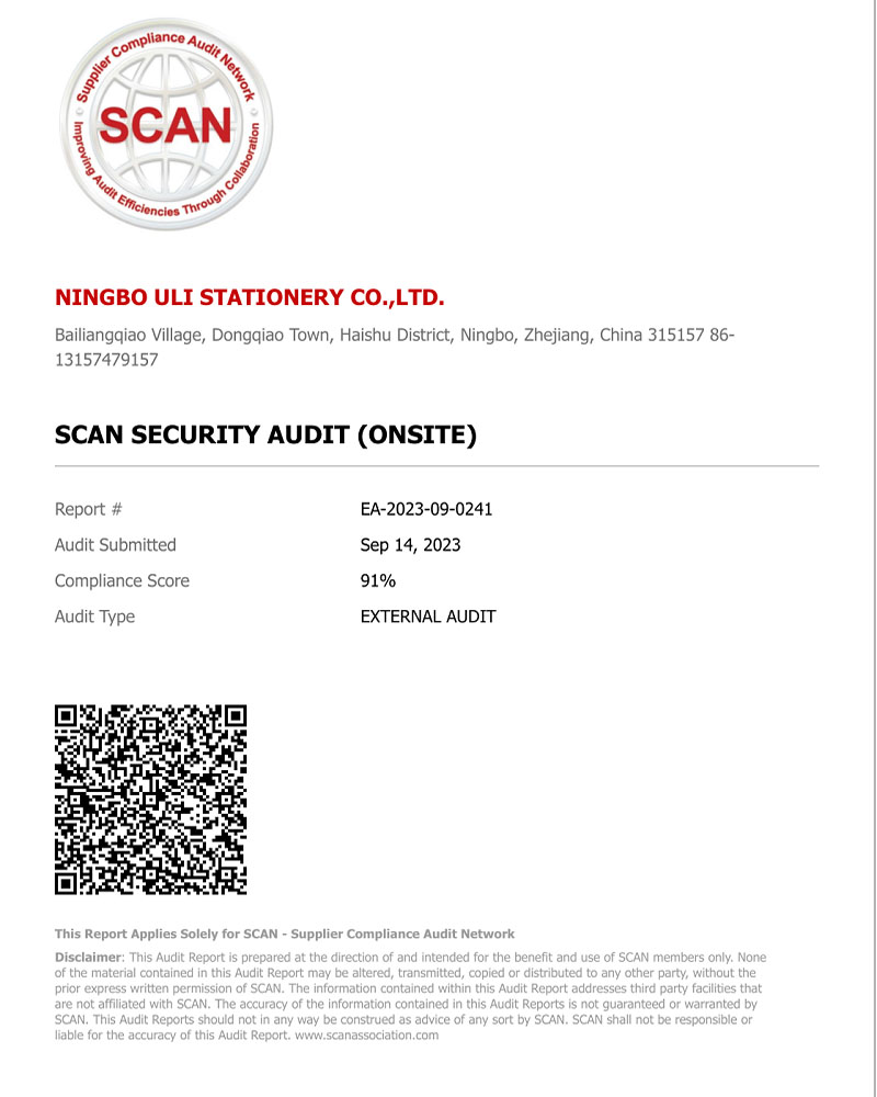 SCAN AUDIT